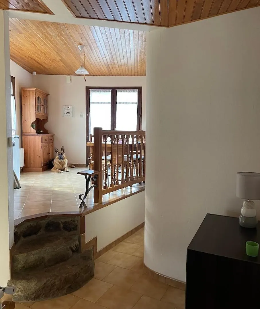 Mountain House Junac Lapege